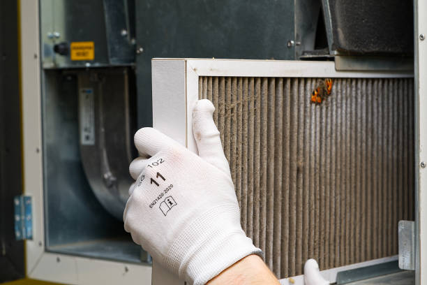 Best Air Duct Cleaning Near Me  in Pomona Park, FL